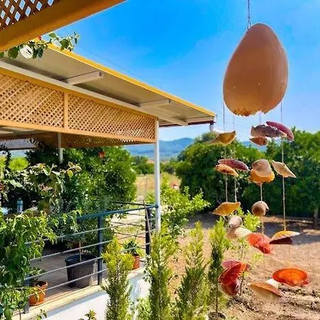 Atakoey Ipek House *