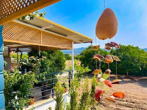 Atakoey Ipek House *